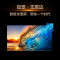 TCL电视 98Q10L PRO 98英寸超清Mini LED智能电视一级能效语音控制超大屏家庭影院-国补后