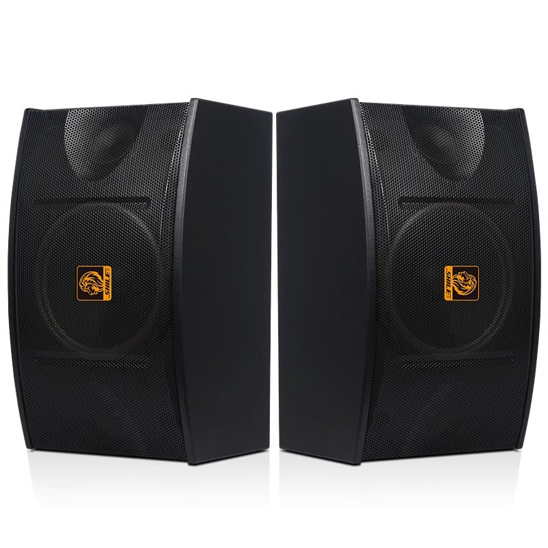 狮乐shilebx103专业ktv卡包箱10英寸舞台会议全频音响家庭卡拉ok音响