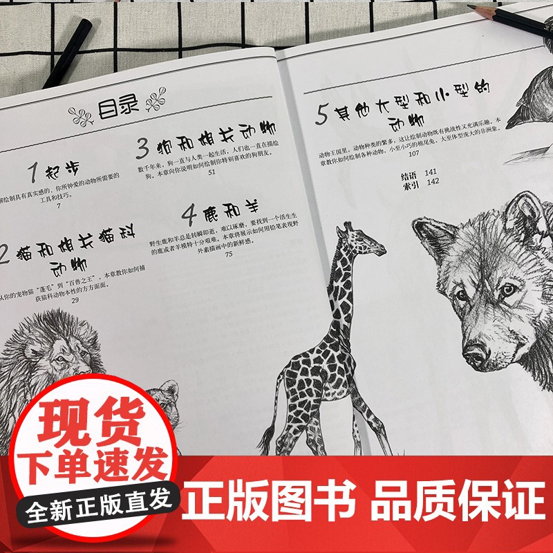 动物素描版 动物素描速写手绘绘画步骤示范技法教学动物素描素材临摹 描初学基础入门怎么样画动物素描教程教材西方经典技法高清大图