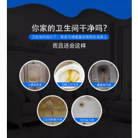 佳耐杰 洁厕剂洁厕灵 900g/瓶