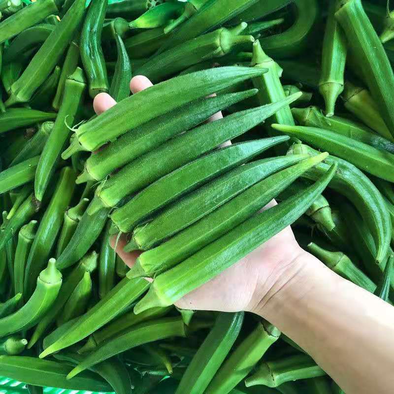 新鲜秋葵3斤 [ 现发新鲜秋葵] 水果秋葵鲜嫩新鲜蔬菜