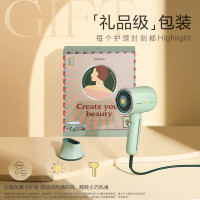 素士电吹风复古低噪音高速大功率亿级负离子吹风机小摩筒RH1