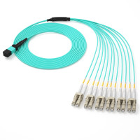海乐（HAILE） MPO-MT12-LC-1M 多模12芯MPO-LC OM3 1米 光纤跳线 （计价单位：根）