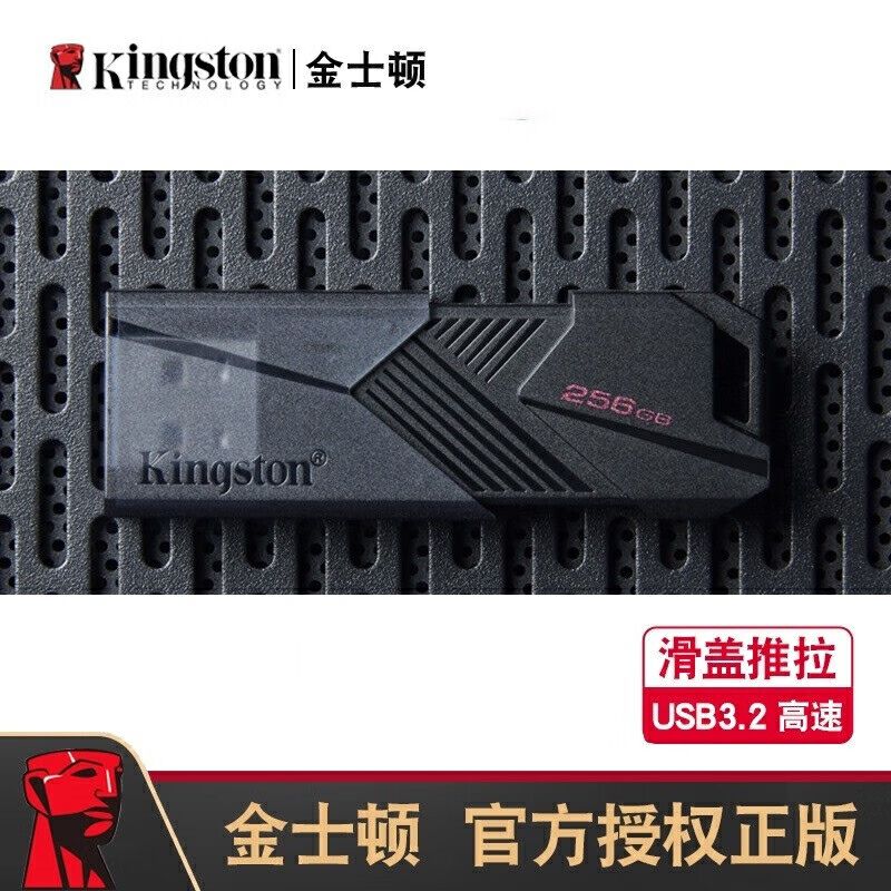 金士顿 新款DTXON 256G 超大存储U盘(单位:个)高清大图
