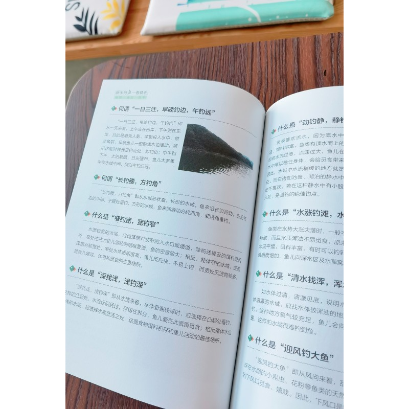 正版新书]新手钓鱼一看就会:做饵·选位·挑竿蒋青海9787557891046高清大图