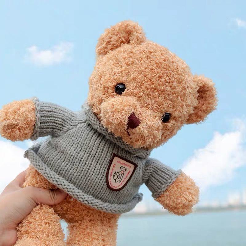 [换装]小熊衣服 30厘米小熊 毛衣小熊公仔玩偶泰迪熊毛绒玩具情人节