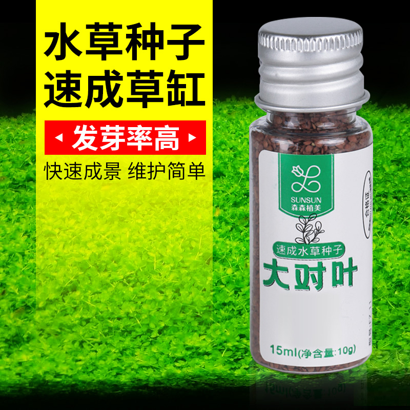 迷你对叶水草鱼缸装饰水草种子水草泥前景草真水草懒人造景速成草