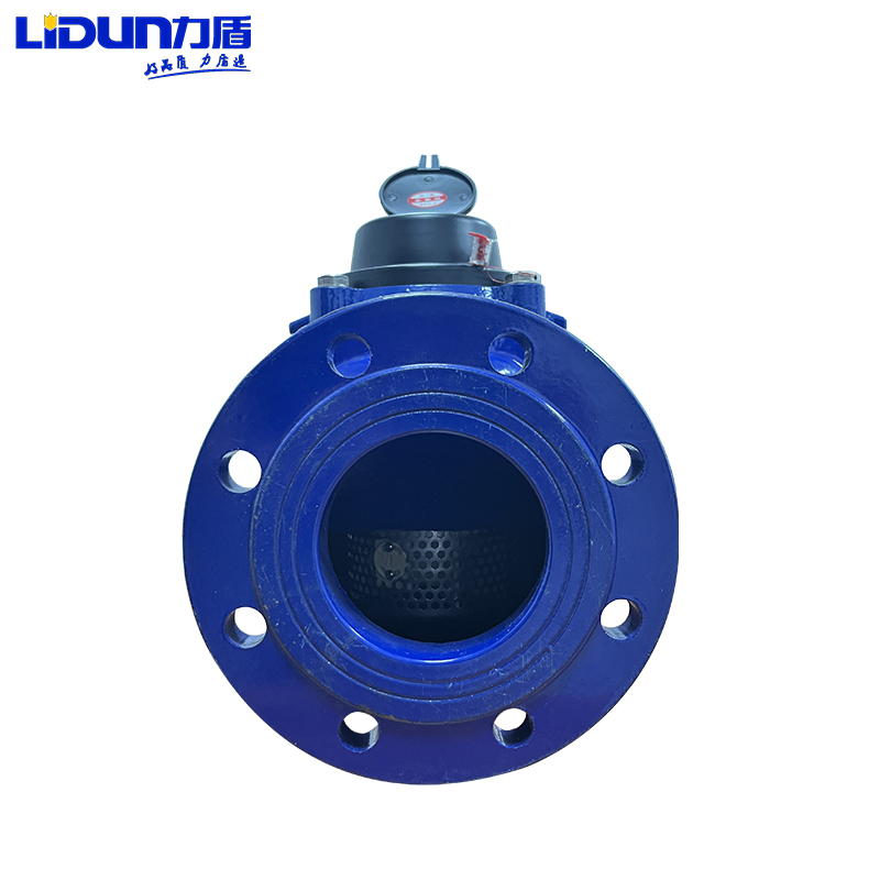 力盾 可拆式水平螺翼式水表 LXS-E DN300 只