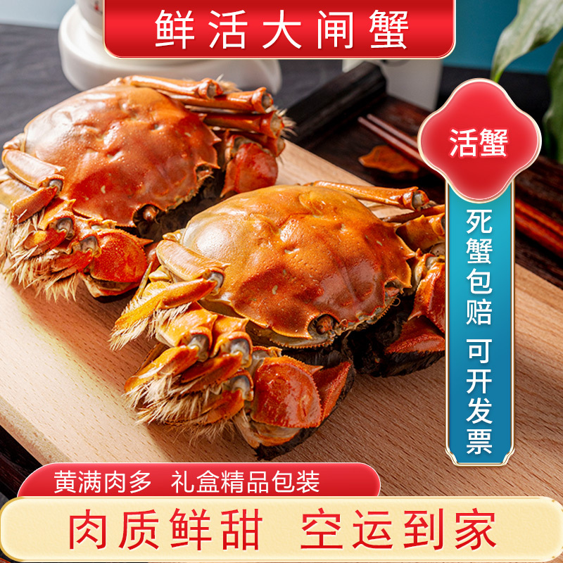 [活蟹]大闸蟹全母2.5两 8只中秋礼盒 去绳足重精品活蟹河蟹鲜活苏州直发