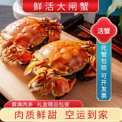【活蟹】苏州精品大闸蟹全母2.3两-2.6两 8只螃蟹礼盒 去绳足重精品活蟹河蟹鲜活苏州直发
