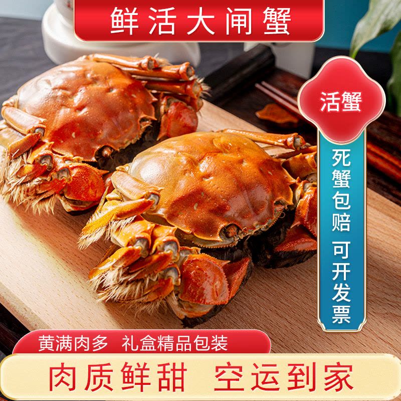 [活蟹]苏州精品大闸蟹全母2.3两-2.6两 8只螃蟹礼盒 去绳足重精品活蟹河蟹鲜活苏州直发图片