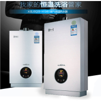 火王热水器JSQ20-H10/B1 SN