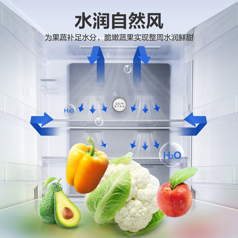 容声(Ronshen) 609升 双变频节能对开门电冰箱 一级能效 CAA离子除菌净味 BCD-609WD11HP