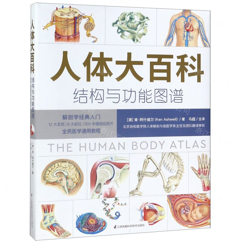 【M】人体大百科(结构和功能图谱)(精)-9787571306441