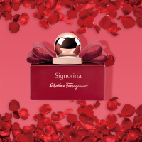 菲拉格慕(Ferragamo)伊人女士香氛2019年限量版50ml