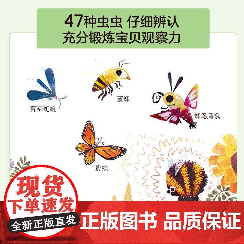 小虫虫的多彩生活 精装版高清大图