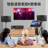 山水(SANSUI) SP9-06套装家庭影院KTV音响家用客厅电视K歌卡拉OK组合音箱 500G台式智能语音点歌机