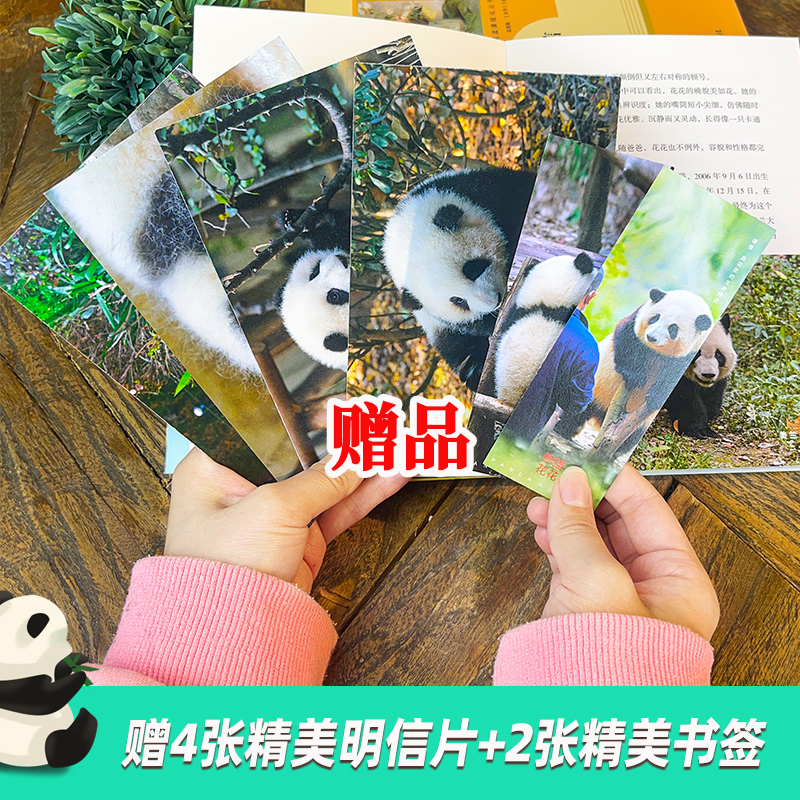 [正版]赠书签+明信片熊猫花花 蒋林书写熊猫花花的家族和花花成长历程附有丰富的熊猫知识科普大熊猫的生物学特点和生活习性高清大图