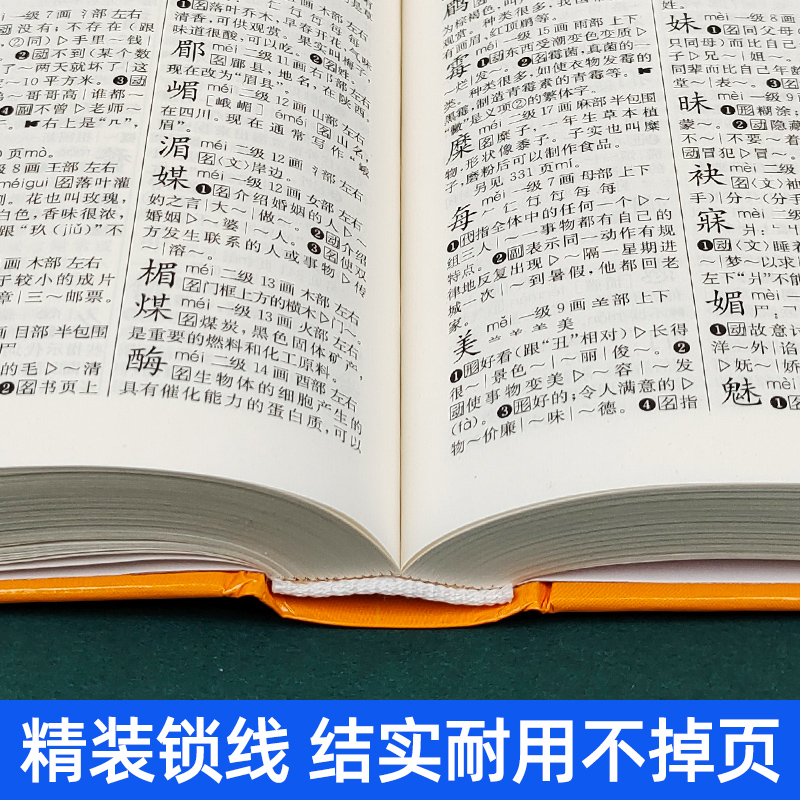 中小学生规范字典国标版. [正版]规范字典国标版字典2024新版中小学生精装版大字典全功能工具书汉语大辞典词语字典多功能高清大图