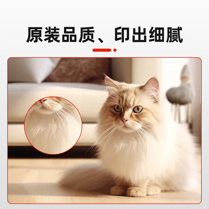 墨粉/硒鼓/油墨 奔图/PANTUM CTL-1100M 粉盒 标准版 700页 1高清大图
