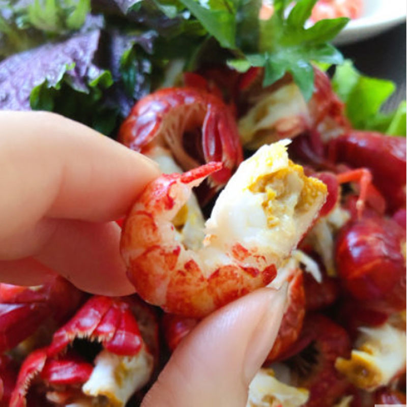 赛卡伊 [大号无冰衣]小龙虾尾现剥活龙虾尾虾球鲜活速冻小海鲜水产