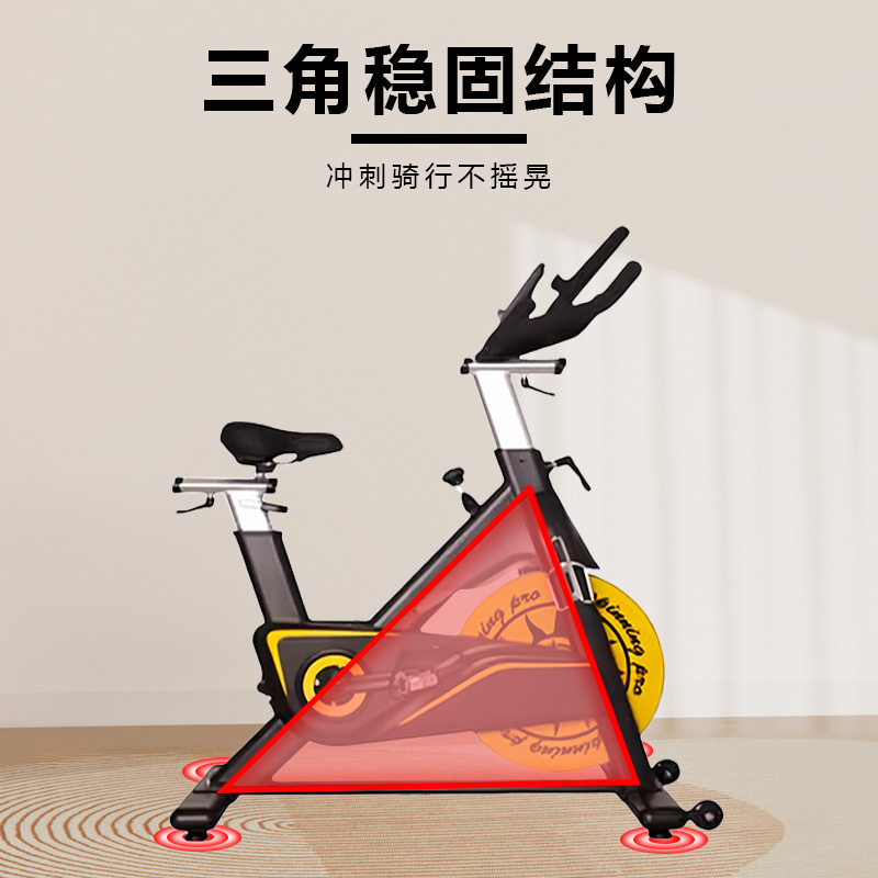 晟渊 动感单车室内家用磁控健身车静音运动自行车YP2133高清大图