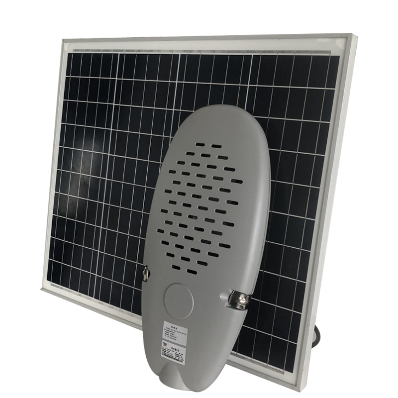 欧辉照明 (OHUIZAOMIN) LED路灯 (带6米灯杆 含安装)OHFC2H-50W 个