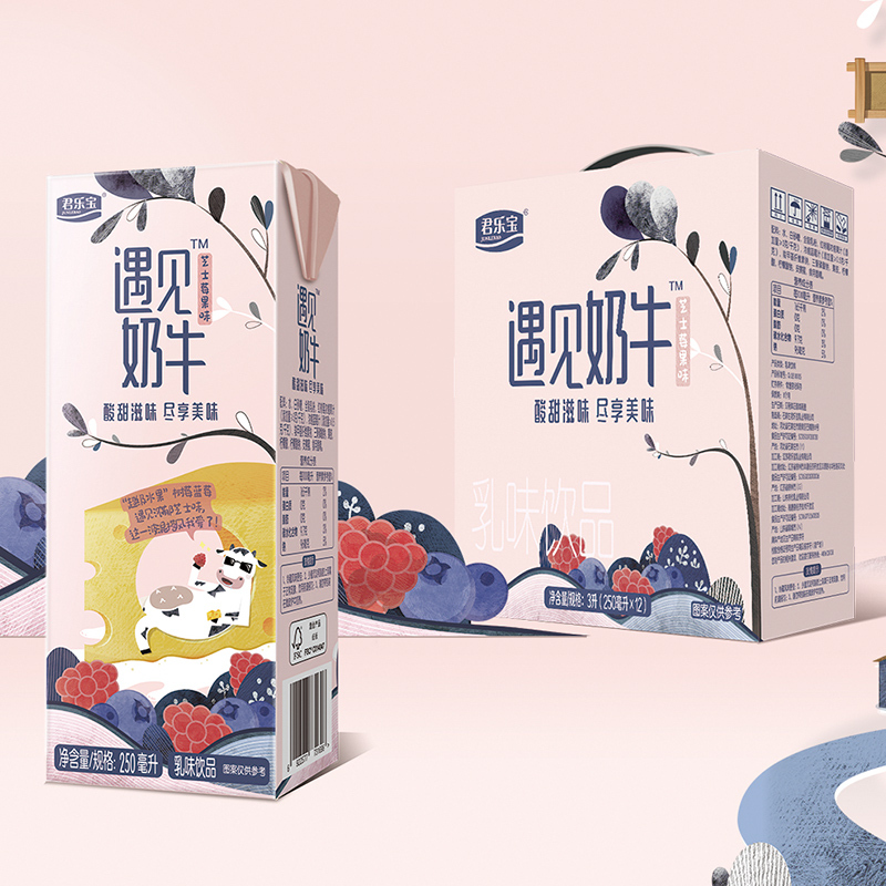 君乐宝 遇见奶牛芝士莓果乳味饮品250mL*12盒 礼盒装