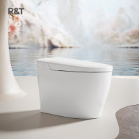 瑞尔特(R&T)S3A智能马桶坐便器自带水箱虹吸杀菌泡沫盾脚感开盖断电自动冲水 S3A