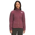 THE NORTH FACE/北面女式羽绒衣轻便保暖防风修身版型透气舒适 S Wild_Ginger