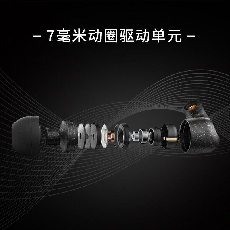 SENNHEISER/森海塞尔 IE300 入耳式高保真HIFI发烧音乐耳机 有线动圈耳机ie300 官方旗舰店