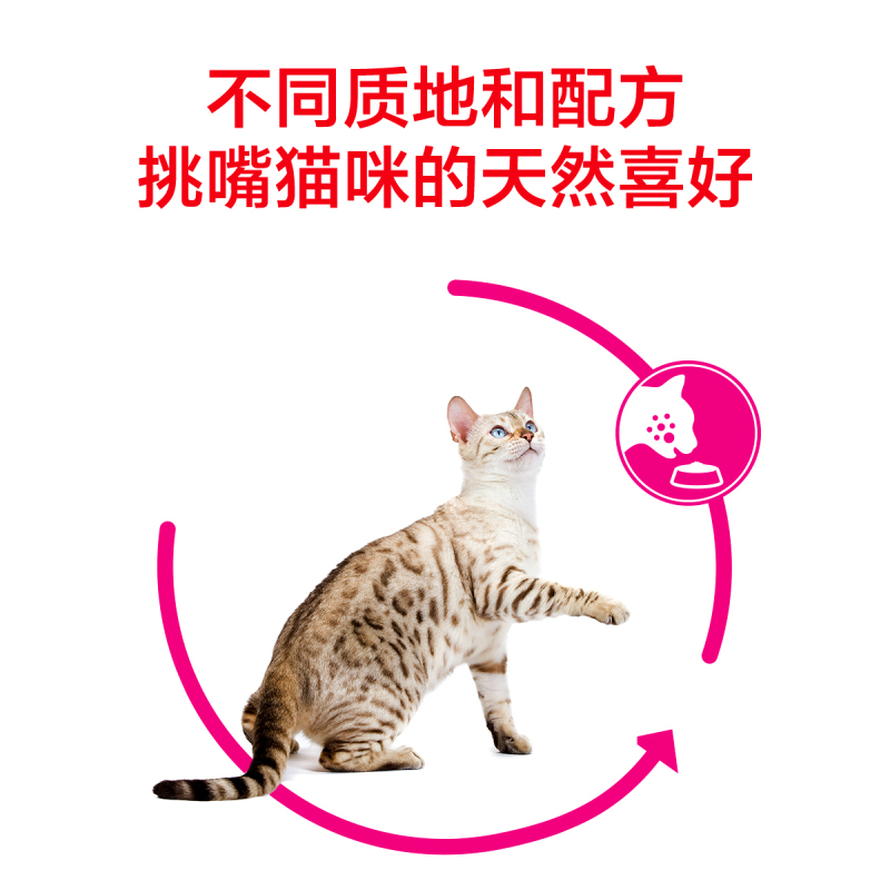 royal canin 皇家宠物食品 全能优选成猫粮-口感型2KG