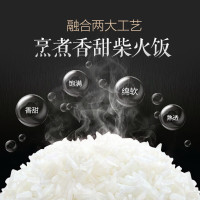 小熊电饭锅 小熊电饭煲家用迷你电饭锅智能预约定时小型煮饭锅1-2-3-4人 趋势
