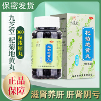 九芝堂 杞菊地黄丸 360丸/盒 浓缩丸滋肾养肝 肝肾阴亏视物昏花晕眩耳鸣迎风流泪中成药丸剂 [健脾益肾类目 1盒装