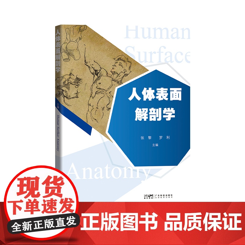 人体表面解剖学 首版融合医学艺术体育的创新型教材 全彩印刷透视图线条图 临床医师针灸师康复治疗师美术教师 广东科技出版社高清大图