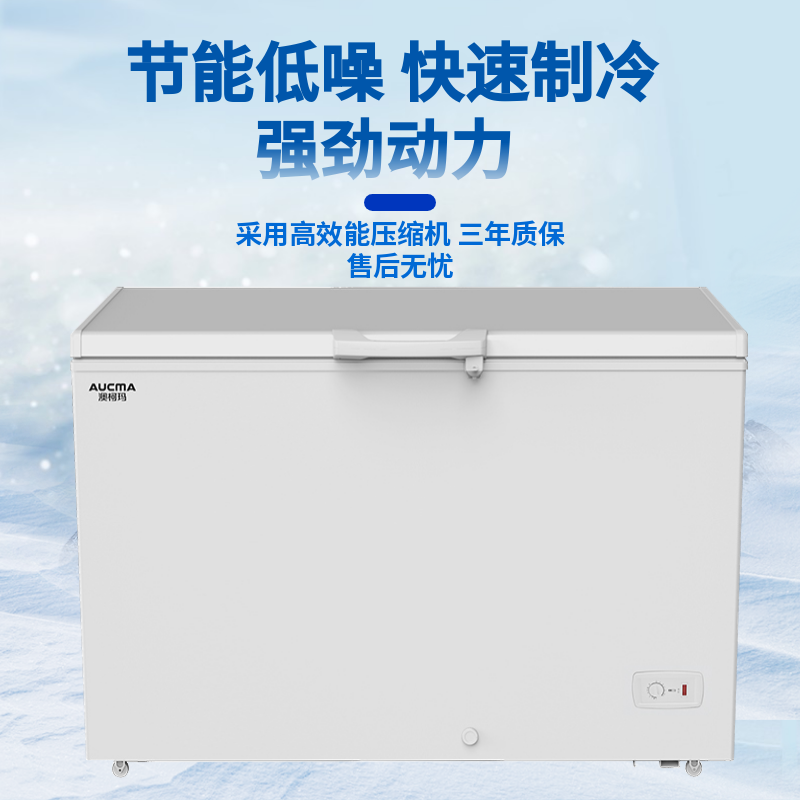 澳柯玛(AUCMA)商用卧式大容量冰柜 冷藏冷冻转换顶盖门 批发雪糕冷柜低温冷柜 BC/BD-376SNA