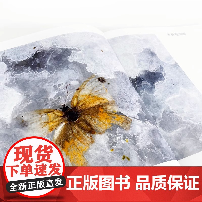 [央视网] 万物有灵 国际野生生物摄影年赛第51届获奖作品 动物自然摄影集艺术画册书籍HL高清大图