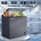 星星(XINGX)140升家用商用减霜净味冰柜 冷藏冷冻转换冷柜 节能顶开冰箱 BD/BC-140KR
