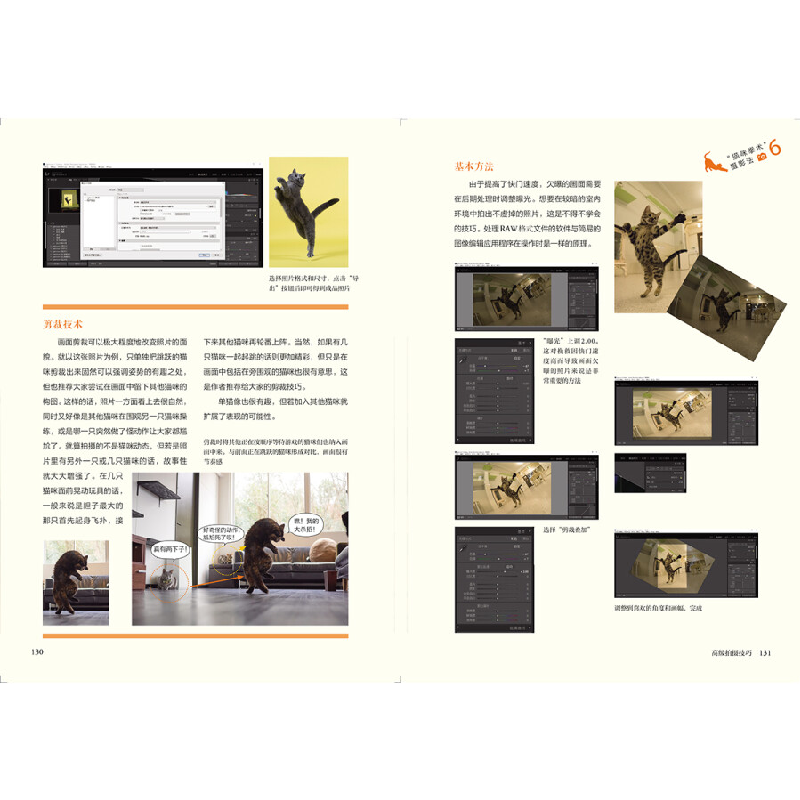 正版新书]喵,看我猫猫拳!我拍的猫咪也可以这么萌(摄影客出品)高清大图