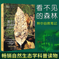 正版 看不见的森林 林中自然笔记 戴维.乔治.哈斯凯尔著 科技丛书 生态学科普读央视中国好书[新华书店旗舰店]