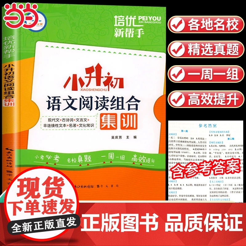 小升初阅读理解专项训练语文阅读组合集训人教版六年级下册阅读强化训练书小学升初中文言文现代文古诗词课外阅读真题总复习必刷题
