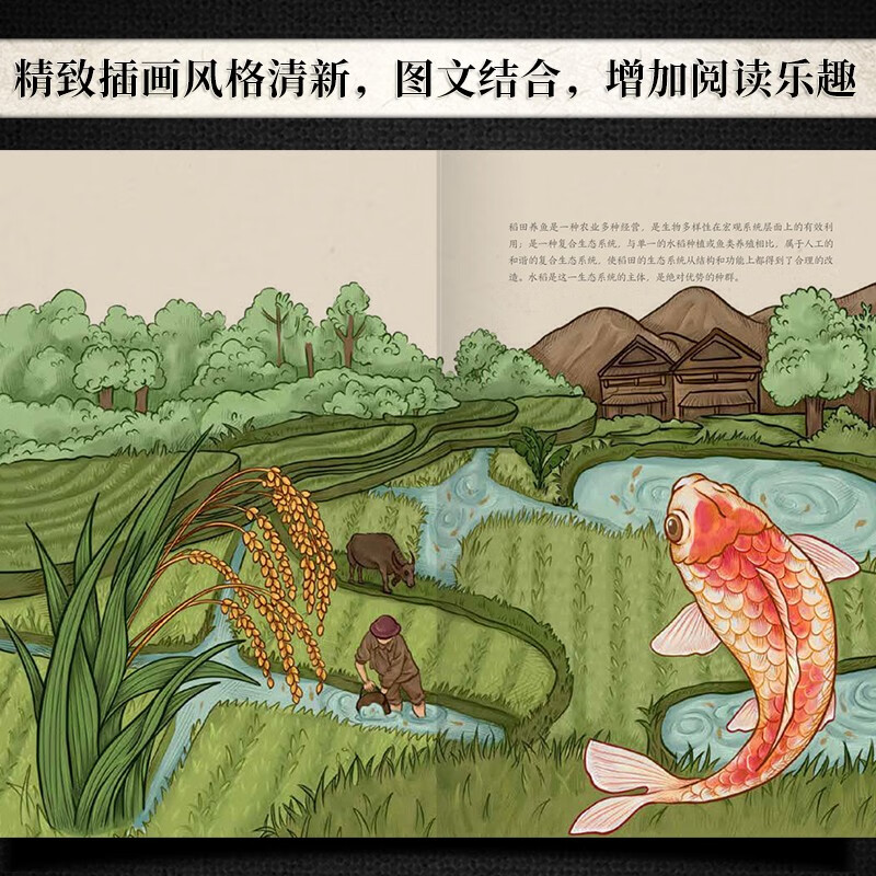 [醉染正版]食日谈:餐桌上的中国故事(精装)以食物为线索的人类文明史粮食起源食物的前世今生粮食文化植物科普烹饪美食饮食与高清大图