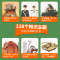军事+太空+动物+植物+数学+海洋(6册) [正版]暑期阅读 中国儿童军事百科全书 植物太空武器军事百科全书类数学 dk