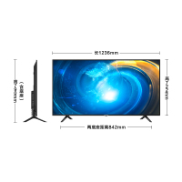创维(SKYWORTH)P2 55吋 4K超高清HDR 护眼防蓝光 遥控语音 2+16G存储