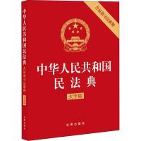 民法典2021年版最新司法解释实用问题版大字版 科技 正版图书 民法典含最新司法解释大字版