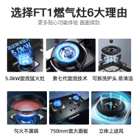 迅达FT1燃气灶煤气灶节能双灶家用钢化玻璃嵌入式液化气炉灶灶台灶具官方旗舰店(天然气)