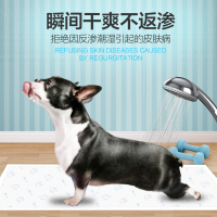 LORDE里兜尿垫S码80片装 宠物训练导尿片 除臭加厚吸水尿片 狗狗尿不湿