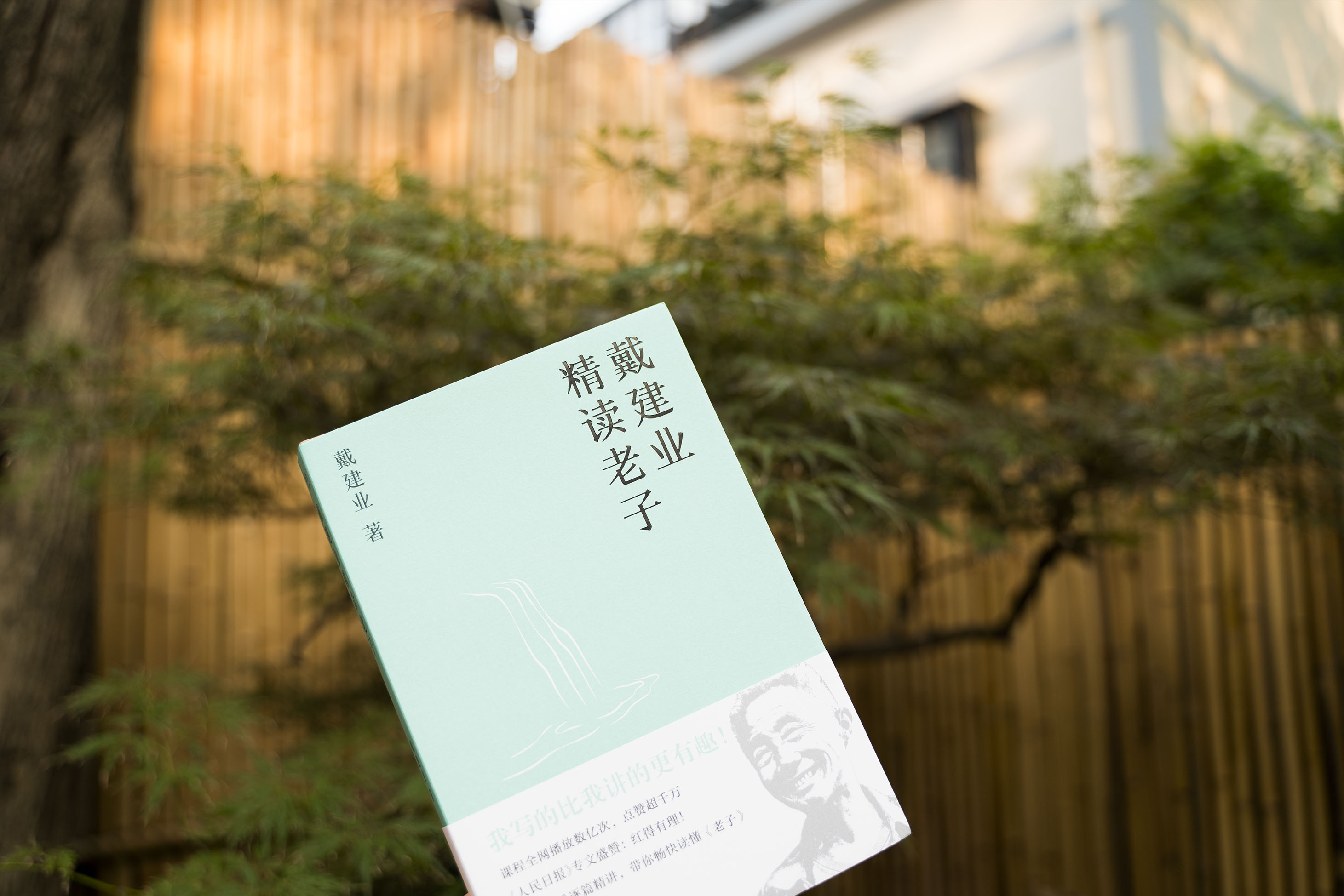 [正版] 戴建业精读老子 文学理论 网红级国民教授谈 十七年长销不衰 趣味随笔 中国文学 古典 经典 诗歌 戴建业文集高清大图