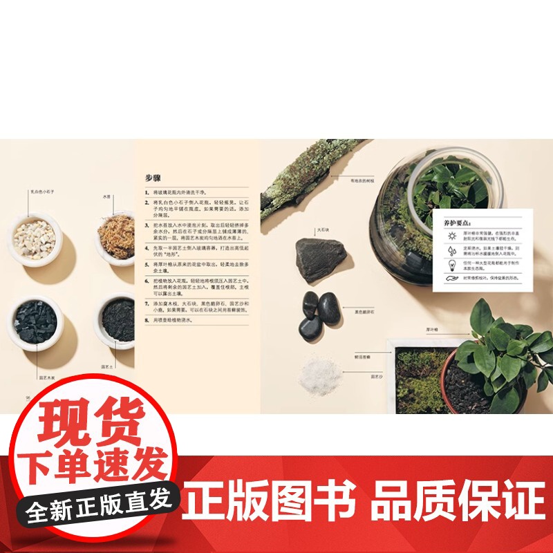 迷你花园 打造你的玻璃生态瓶 克丽克雷根 生态玻璃瓶种植技巧基本要素制作养护生活小景观有书至美 室内绿植培育教学 生活艺高清大图