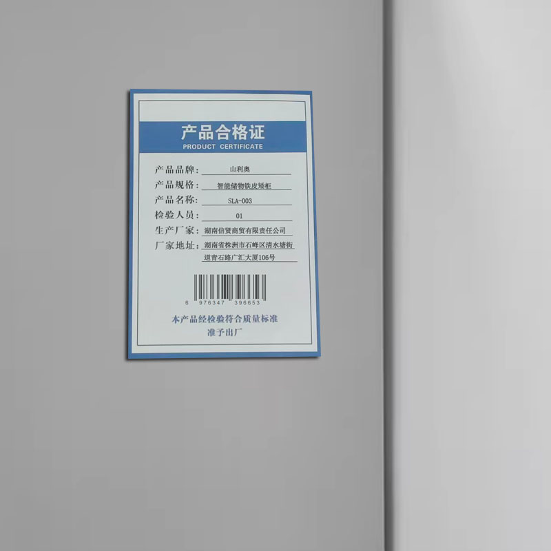 山利奥 智能储物铁皮矮柜 SLA-003 台高清大图